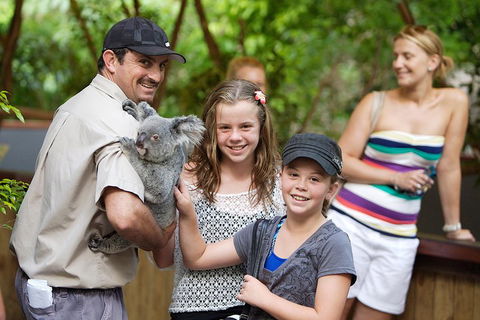 Hartley's Crocodile Adventure Half-Day Tour - Accommodation Directory 3