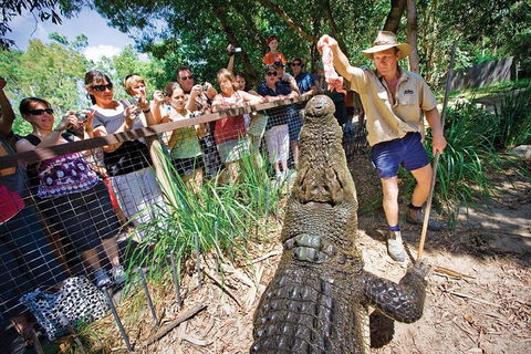 Hartley's Crocodile Adventure Half-Day Tour - Accommodation Directory 4