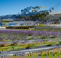 Private Hobart Discover South East Food and Scenic Tour - Accommodation Directory