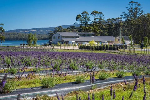 Private Hobart Discover South East Food And Scenic Tour - Accommodation Directory 0