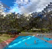 Tahune Airwalk Active Day Trip from Hobart Including Hastings Caves - Accommodation Directory