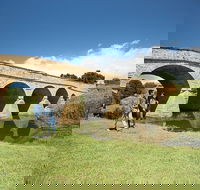 Richmond Historic Afternoon Tour from Hobart - Accommodation Directory