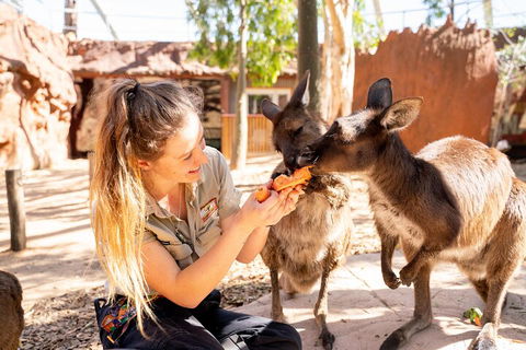 WILD LIFE Sydney Entrance Ticket - Accommodation Directory 5
