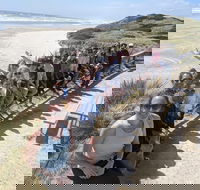 3 Day Tasmanian Wild West Coast Tour from Hobart to Launceston - Accommodation Directory