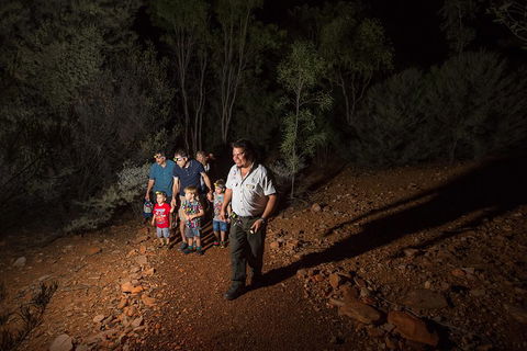 Alice Springs Desert Park Nocturnal Tour - Accommodation Directory 0