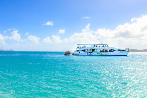 Whitehaven Beach And Daydream Island Cruise - Accommodation Directory 2
