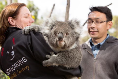 Bonorong Wildlife Park And Richmond Afternoon Tour From Hobart - Accommodation Directory 0