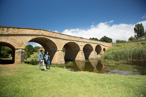 Bonorong Wildlife Park And Richmond Afternoon Tour From Hobart - Accommodation Directory 2