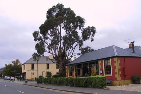 Bonorong Wildlife Park And Richmond Afternoon Tour From Hobart - Accommodation Directory 3