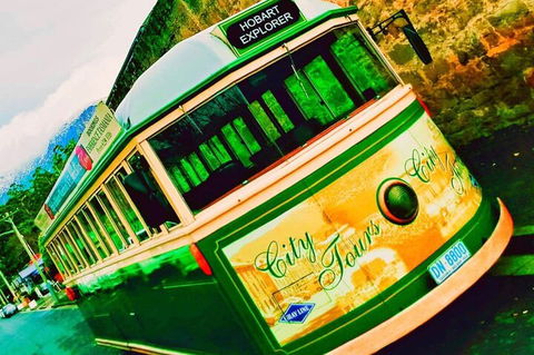 Hobart Half-Day Sightseeing Coach Tram Tour - Accommodation Directory 5