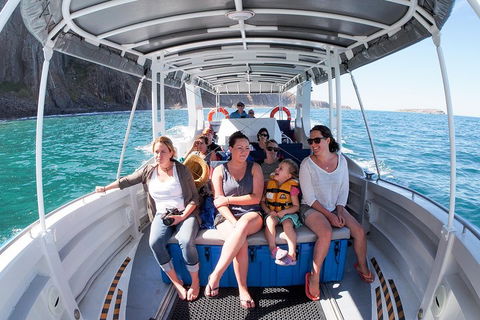 Seal Island Boat Tour From Victor Harbor - Accommodation Directory 1