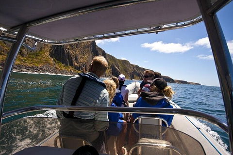 Seal Island Boat Tour From Victor Harbor - Accommodation Directory 2