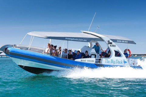 Seal Island Boat Tour From Victor Harbor - Accommodation Directory 3