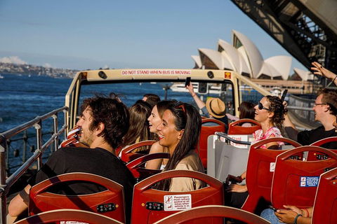 Hop-On Hop-Off Bus And PLUS 4 Merlin Attractions - Accommodation Directory 1