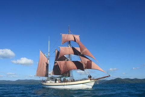 Sydney Harbour Tall Ship Whale & Sail - Whale Watching Cruise - Accommodation Directory 1