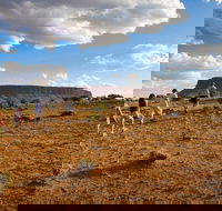 Mount Conner 4WD Small Group Tour from Ayers Rock including Dinner - Accommodation Directory