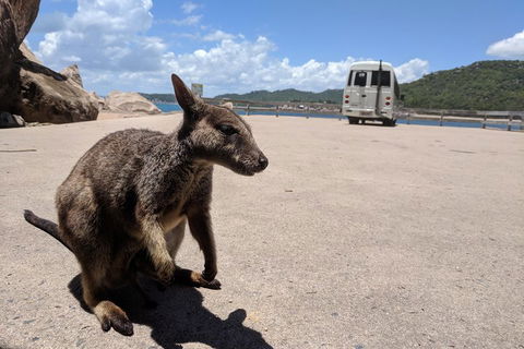 Magnetic Island Tour: Maggie Comprehensive - Accommodation Directory 0