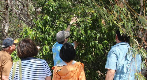 Magnetic Island Tour: Maggie Comprehensive - Accommodation Directory 4