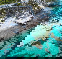 Rottnest Island Round-Trip Ferry from Perth or Fremantle - Accommodation Directory