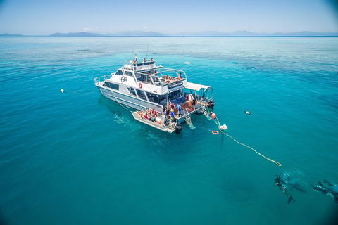 Ocean Freedom Great Barrier Reef Personal Luxury Snorkel & Dive Cruise, Cairns - Accommodation Directory 0