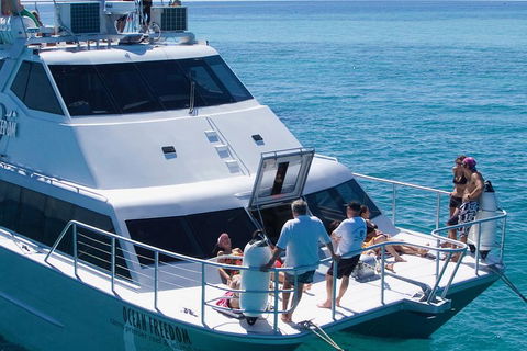 Ocean Freedom Great Barrier Reef Personal Luxury Snorkel & Dive Cruise, Cairns - Accommodation Directory 1