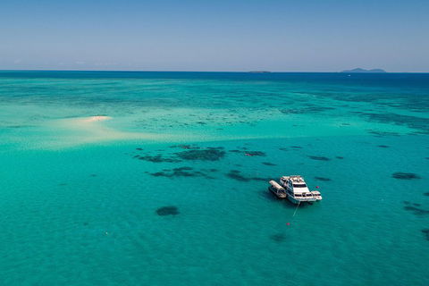 Ocean Freedom Great Barrier Reef Personal Luxury Snorkel & Dive Cruise, Cairns - Accommodation Directory 2