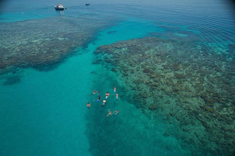 Ocean Freedom Great Barrier Reef Personal Luxury Snorkel & Dive Cruise, Cairns - Accommodation Directory 3