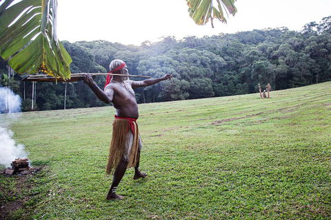 Classic Kuranda By Skyrail And Scenic Railway Including Rainforestation, Koala And Wildlife Park And Pamagirri Aboriginal Experi - Accommodation Directory 5