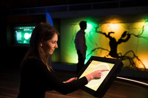 Australian Wine Discovery Tour Ticket - Accommodation Directory 2