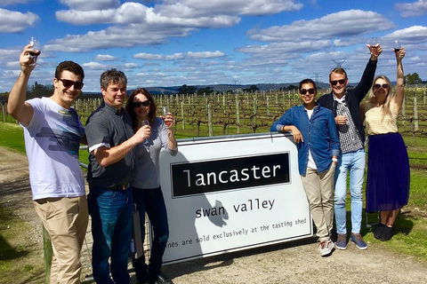 Swan Valley Tour From Perth: Wine, Beer And Chocolate Tastings - Accommodation Directory 1