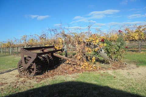 Swan Valley Tour From Perth: Wine, Beer And Chocolate Tastings - Accommodation Directory 3
