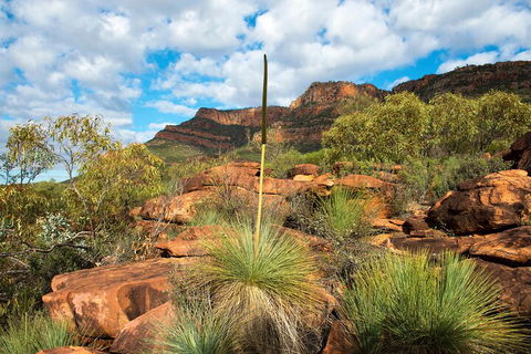 6-Day Eyre Peninsula & Flinders Ranges Adventure Tour - Accommodation Directory 1