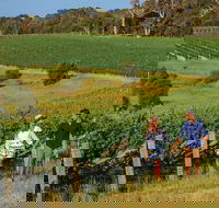 10 Day Perth to Adelaide Private Tour - The Great Australian Wilderness Journey - Accommodation Directory