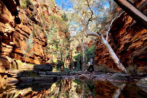 10-Day Adelaide To Perth Adventure Tour - Accommodation Directory 5