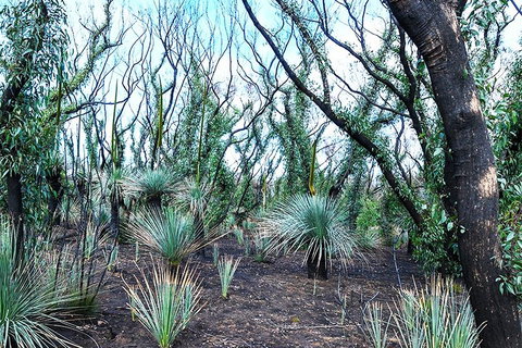 NEW TOUR - Kangaroo Island Road To Recovery Tour (1 Day/1 Night) - Accommodation Directory 3