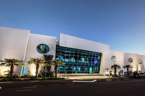 Cairns Aquarium Admission Ticket - Accommodation Directory 4