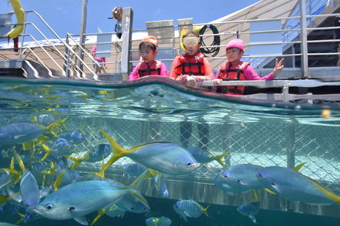 Outer Reef Pontoon Experience From Cairns - Accommodation Directory 0