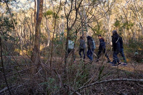 Wild Australian Wildlife 4WD Tour From Sydney - Accommodation Directory 0