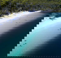 All-Inclusive Fraser Island Day Tour - Accommodation Directory