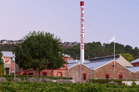 Ultimate Penfolds Magill Estate Experience - Accommodation Directory 3
