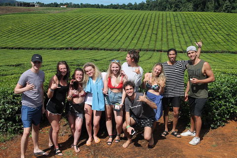 Atherton Tablelands Waterfalls Tour From Cairns - Accommodation Directory 1