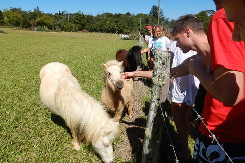 Atherton Tablelands Waterfalls Tour From Cairns - Accommodation Directory 4