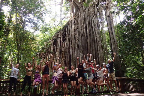 Atherton Tablelands Waterfalls Tour From Cairns - Accommodation Directory 5