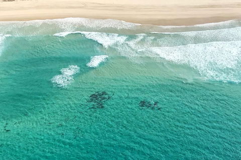 Coastal Helicopter Shared Flight - 20 Minutes - Accommodation Directory 4