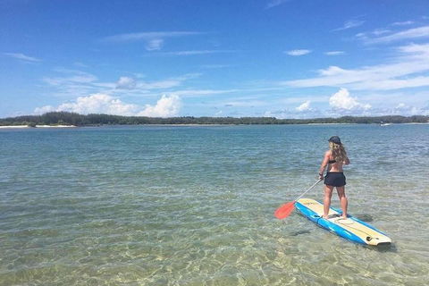 Golden Beach 1-Hour Stand-Up Paddleboard Hire On The Sunshine Coast - Accommodation Directory 4