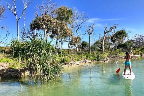 Golden Beach 1-Hour Stand-Up Paddleboard Hire On The Sunshine Coast - Accommodation Directory 5