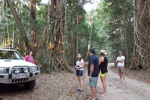 Great Beach Drive 4WD Tour - Private Charter From Noosa To Rainbow Beach - Accommodation Directory 1